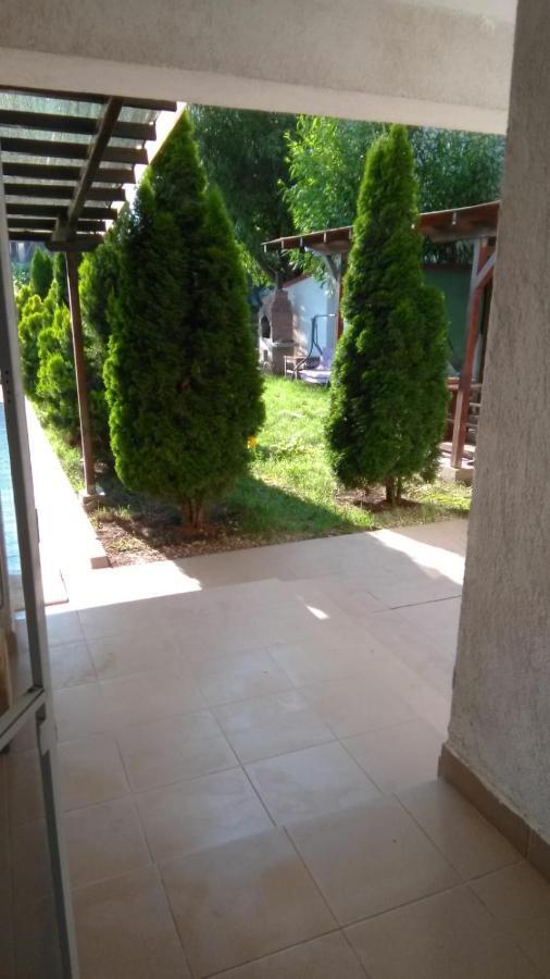 Vila Stefan Pescarusului Costinești Exterior foto